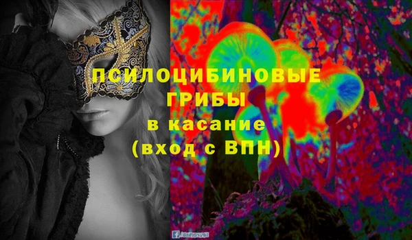 дурь Алексин