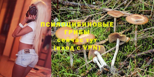 дурь Алексин