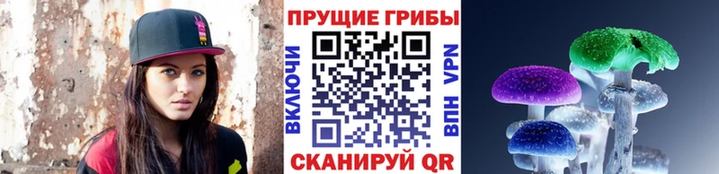 Галлюциногенные грибы Psilocybe Артёмовский